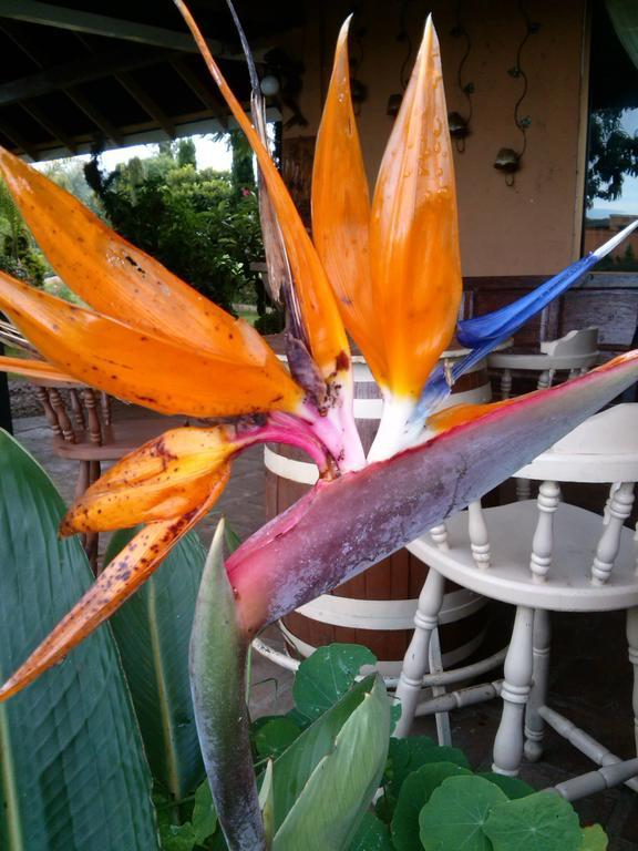 Finca Paraiso-el Canto De La Sirena 3*