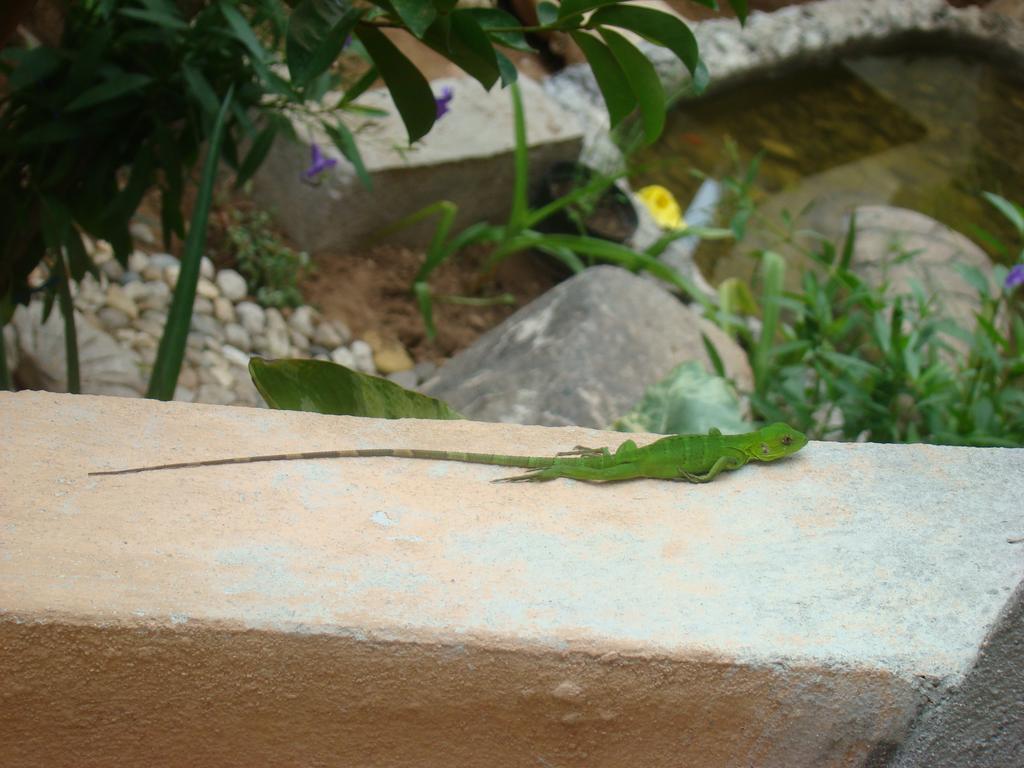 Hotel Bigu Puerto Escondido (Oaxaca)