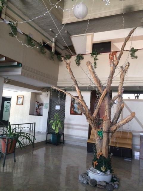 Hotel Raldos 3*