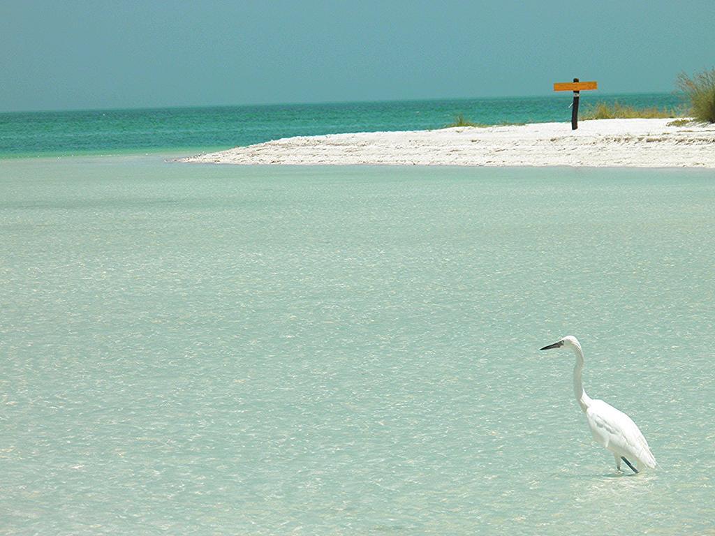 Casa Punta Coco & Beach Club (Adults Only) Isla Holbox