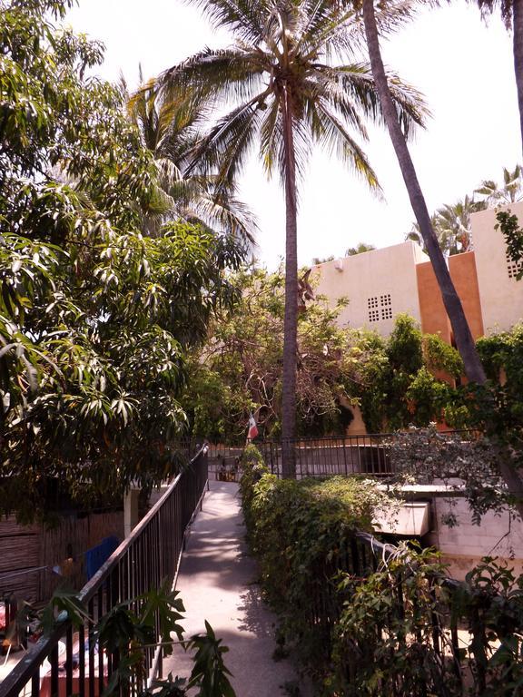 Hotel Senor Manana San Jose del Cabo