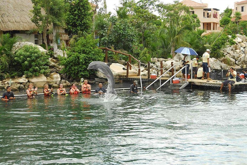 Hotel Kali Boutique Golf And Puerto Aventuras
