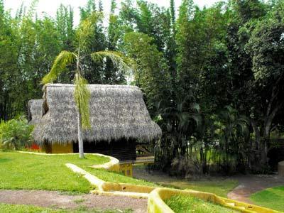 Chichaki Eco