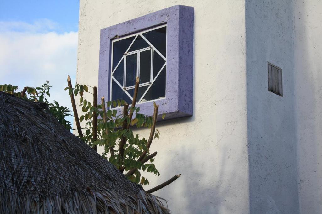 Bed & Breakfast Amaranto Cozumel