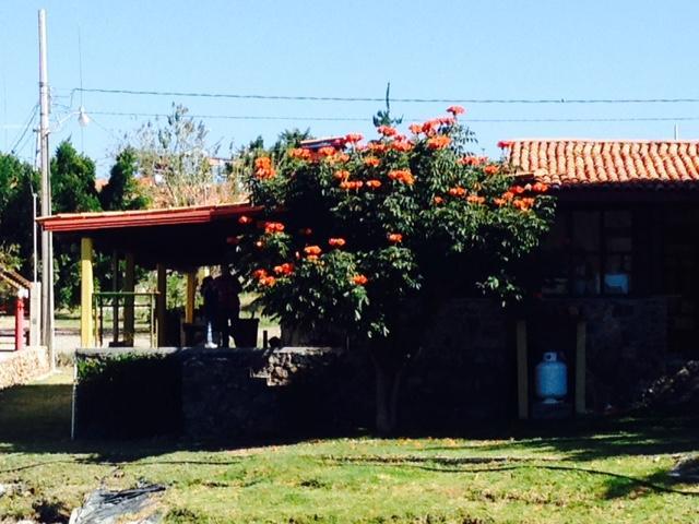 Cabanas Los Pocitos