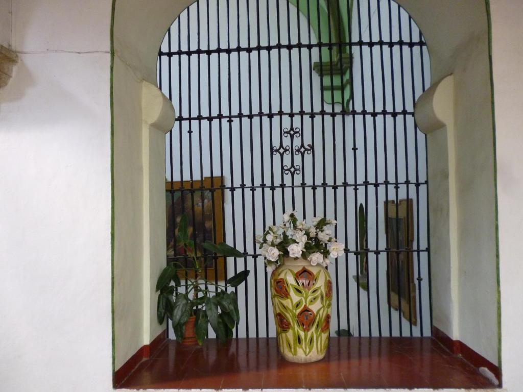 Hotel Monte Alban - Solo Adultos 3*
