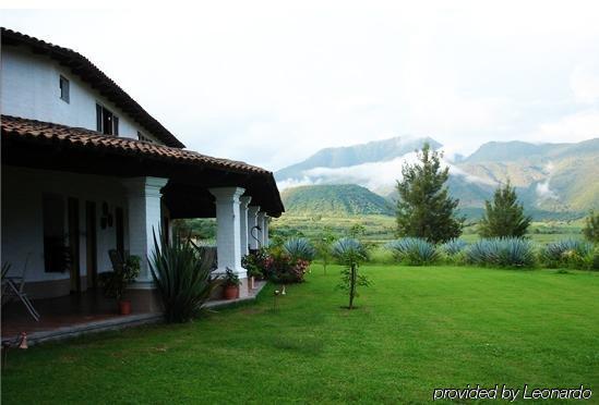 Cantabria Mascota