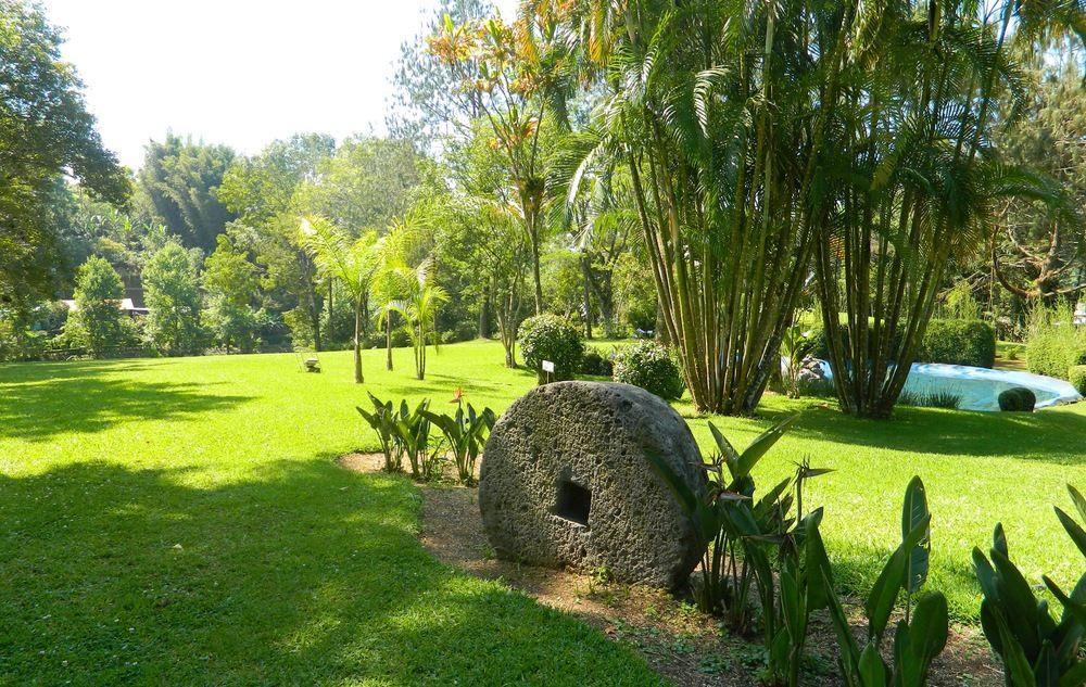 Hotel Mision Cocuyos Alta Montana 4*