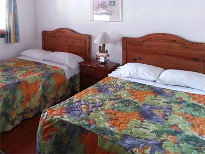 Revi Hotel 4*