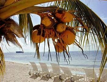 Worldmark Resort Isla Mujeres