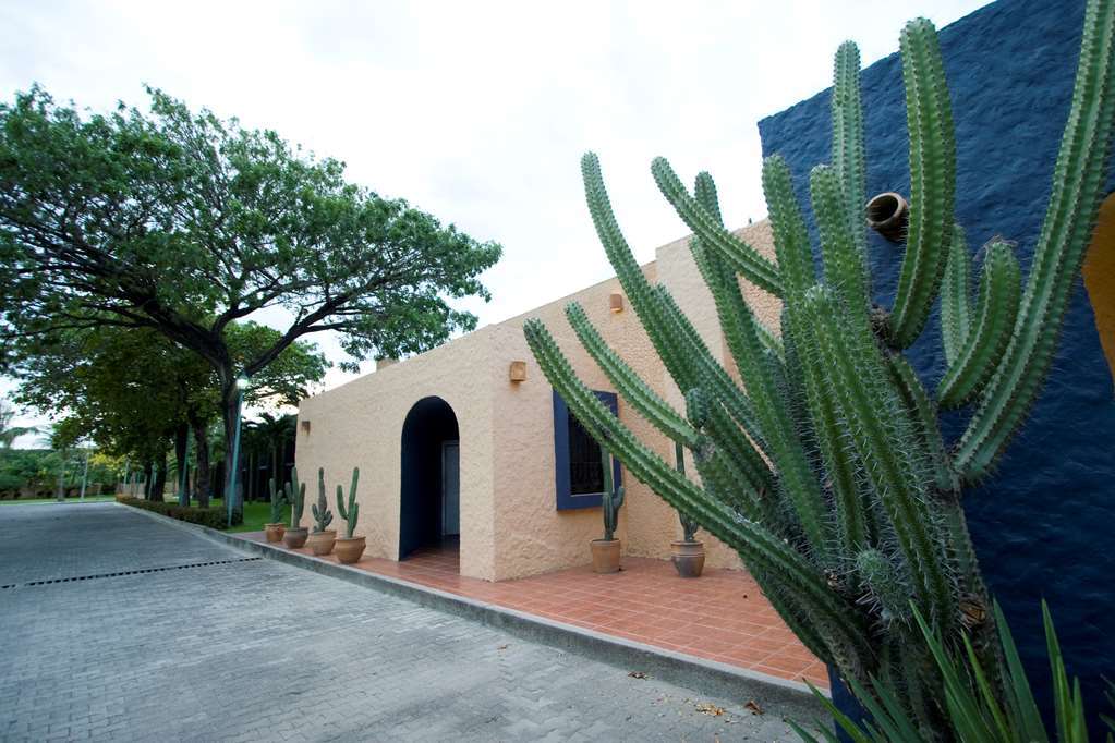 Calli Hotel 4*