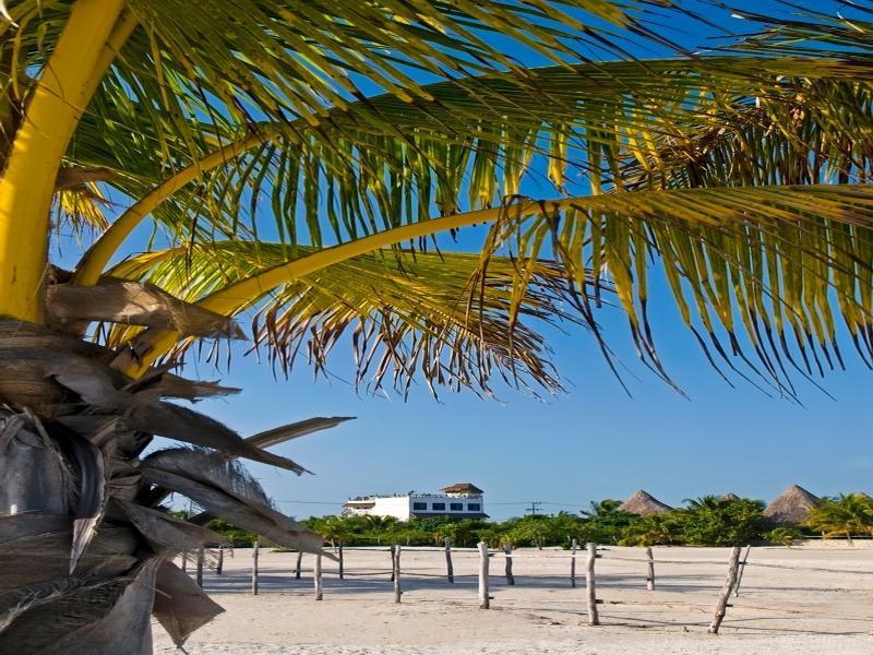 Elements Acuario Hotel Isla Holbox