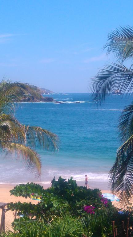 Guest house Ecohabitas Mazunte
