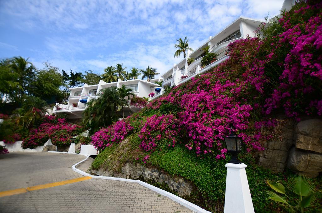 Dolphin Cove Aparthotel