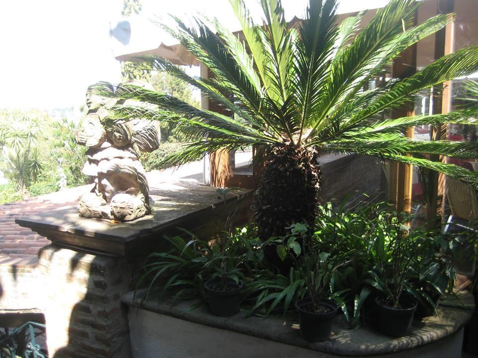 Casa De La Loma Hotel