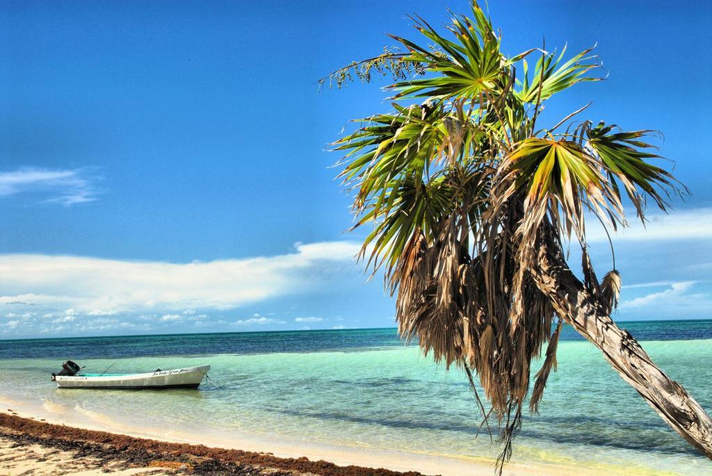 Beachouse Dive Hostel *