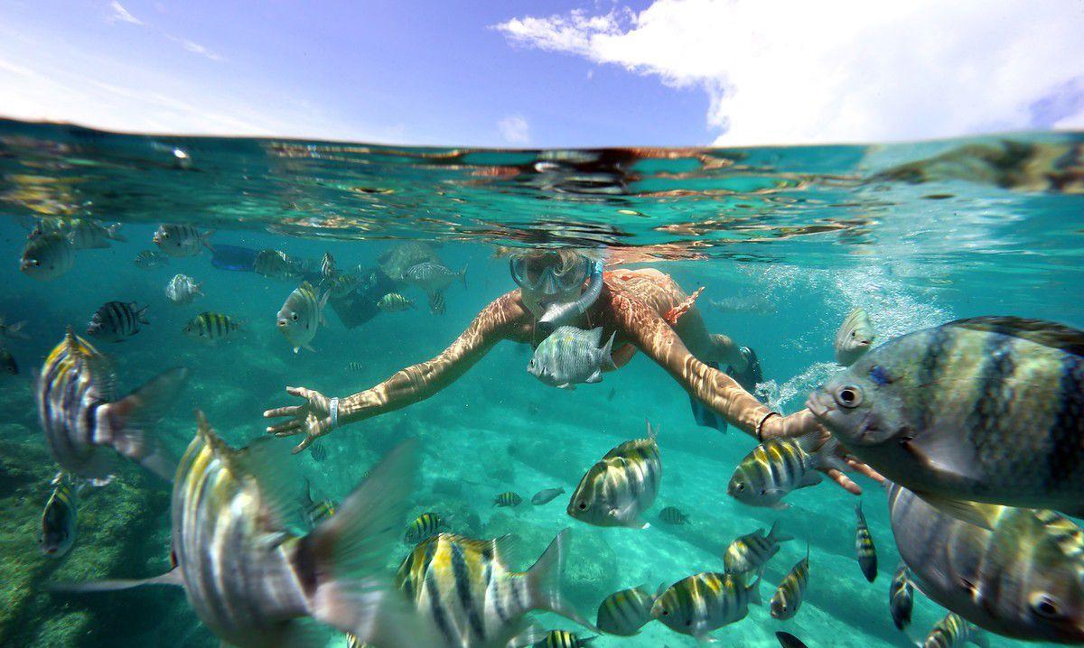 Mia Reef Cancun