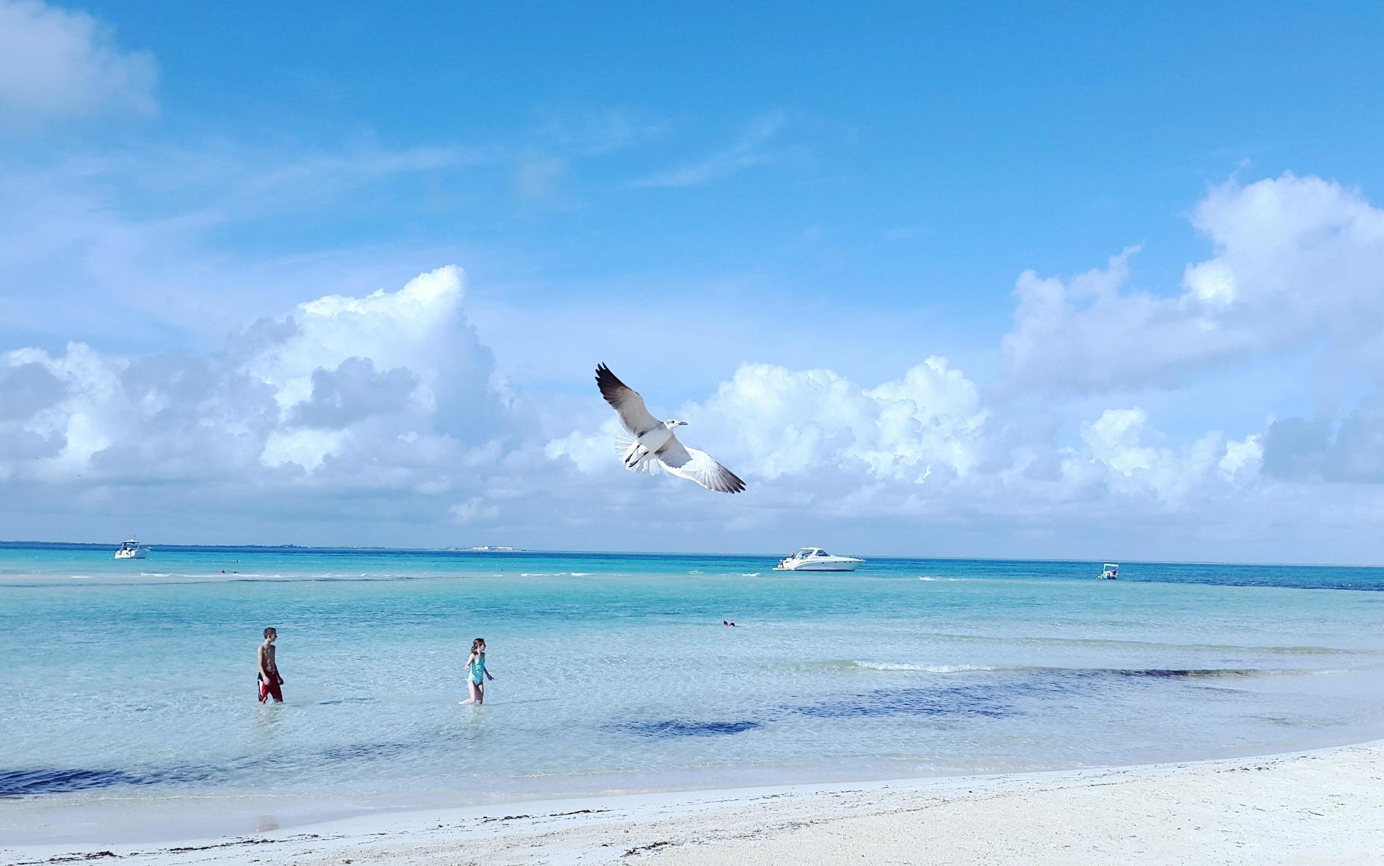 Mia Reef Cancun Resort
