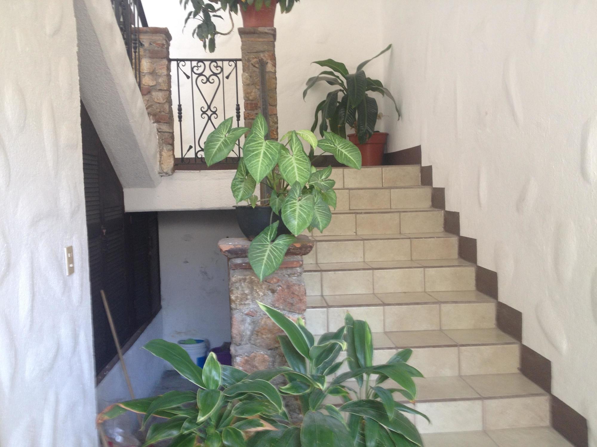 Casa Vieja