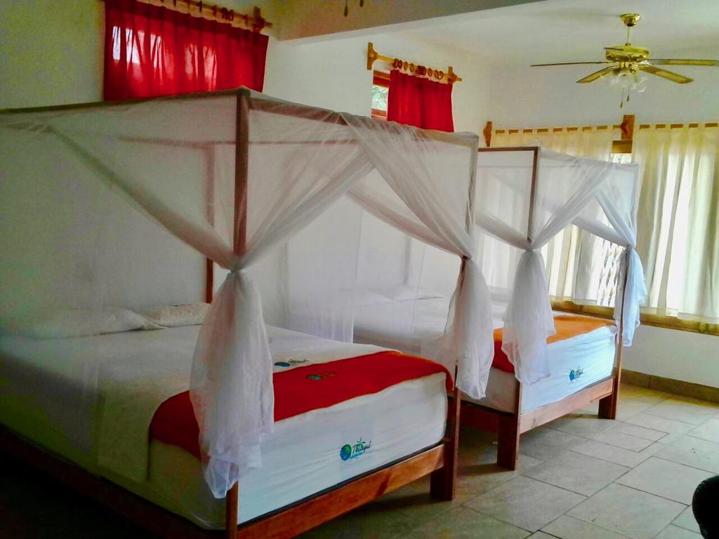 Telayu 2* Mazunte