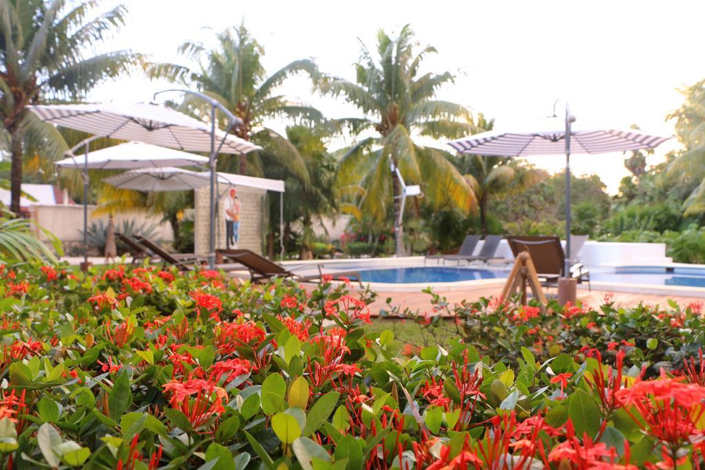 El Capitan Guest house