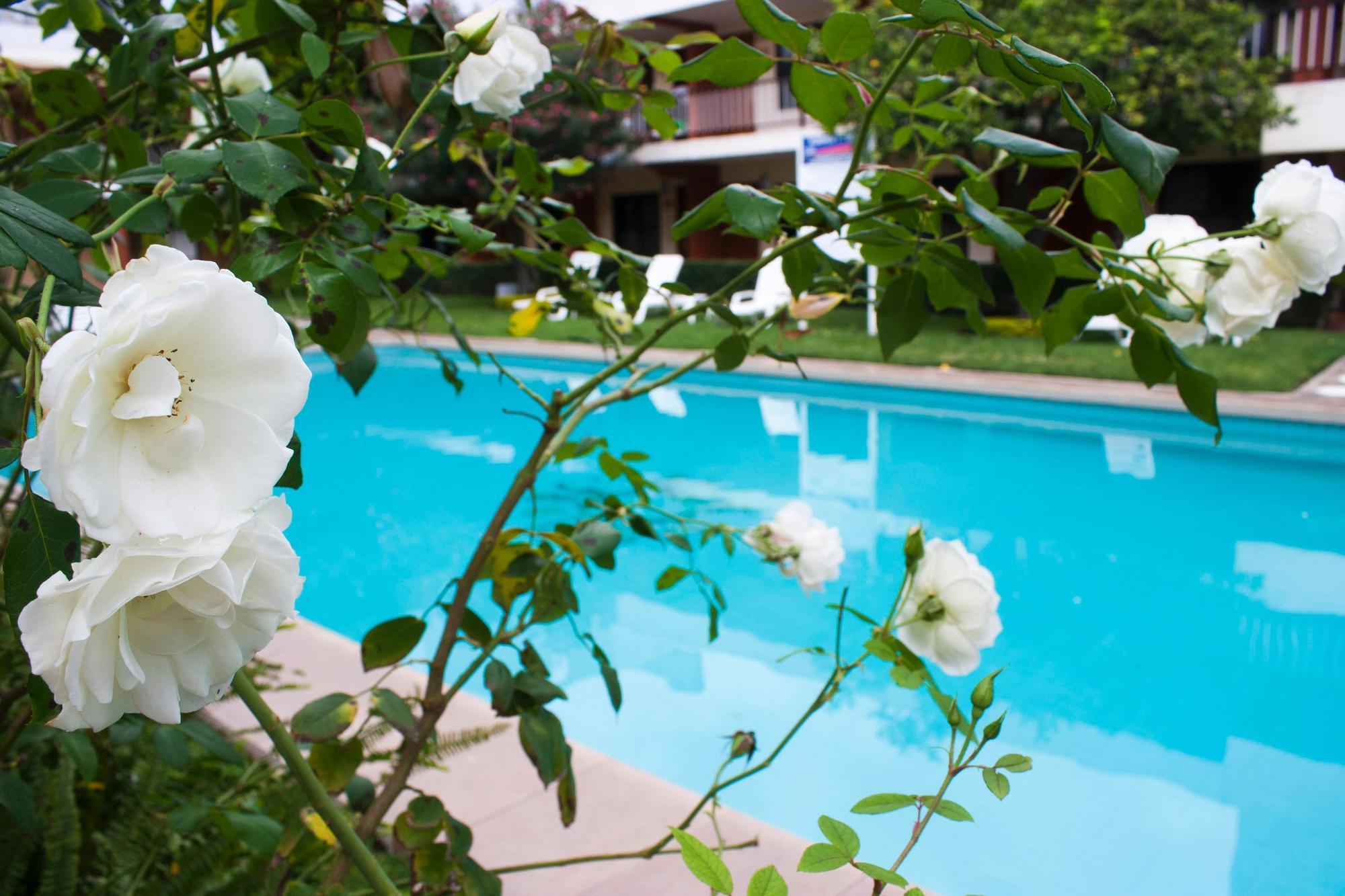 Puerta Del Sol Guadalajara Hotel Zapopan
