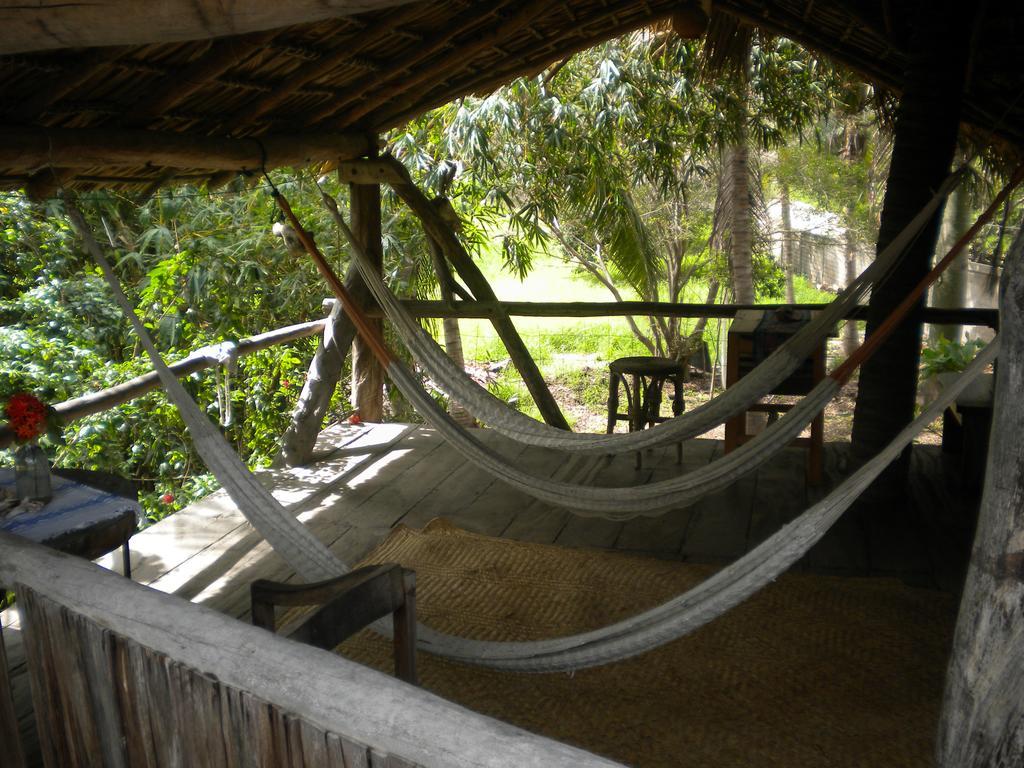 Castillo Oasis