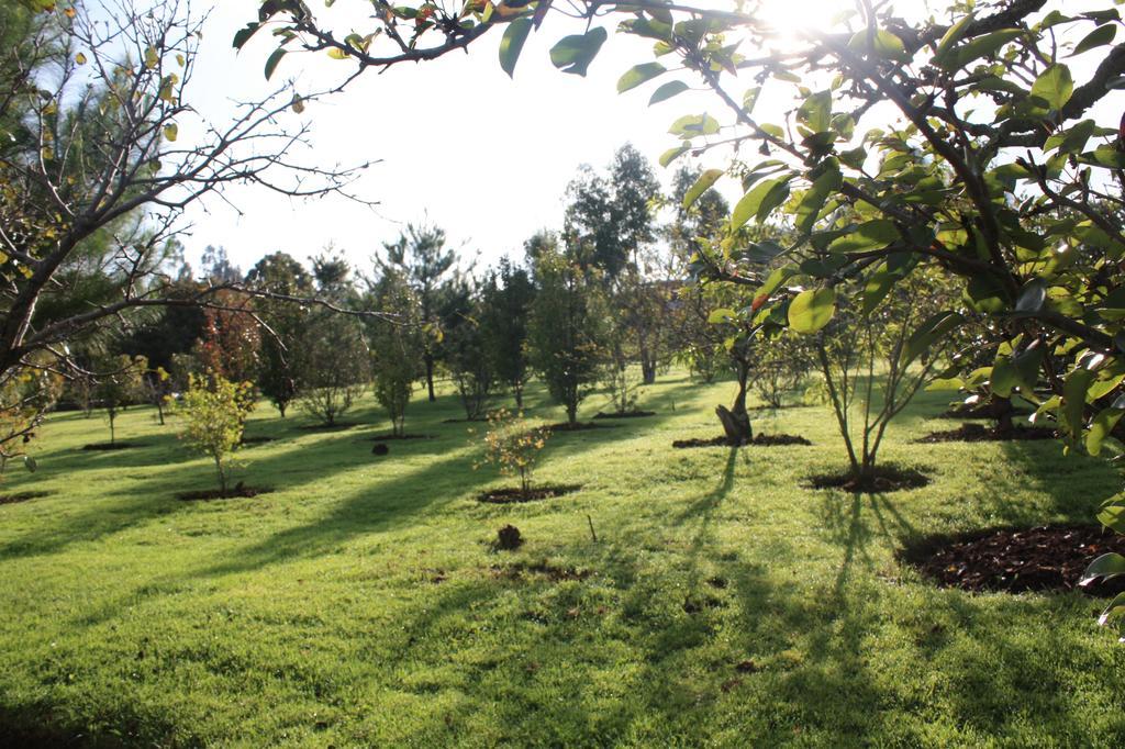 Huerta Real 4*