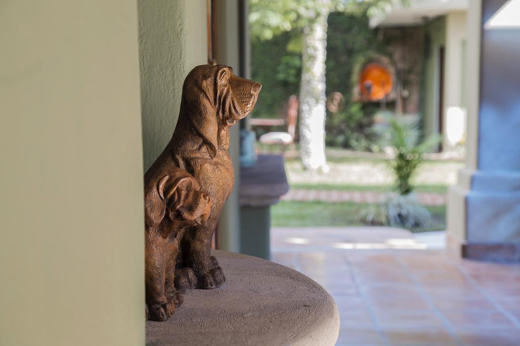 Hacienda Del Boutique Hotel Ajijic