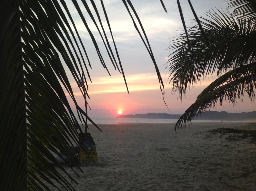 Casa De La Tortuga * Zihuatanejo