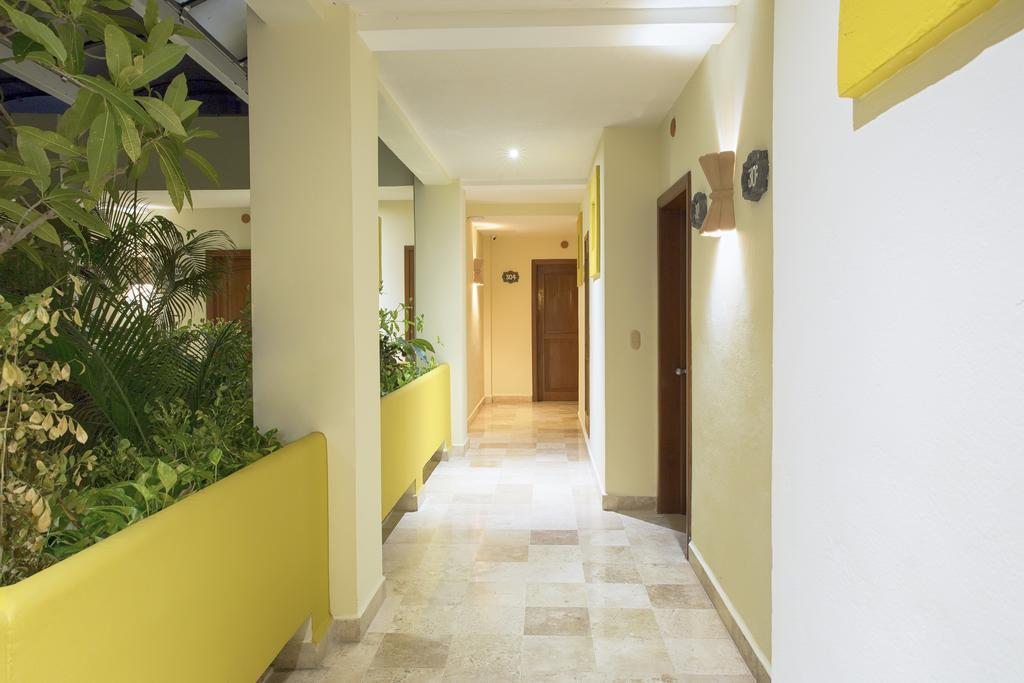 Hotel Itzaes By 5th Av 3*