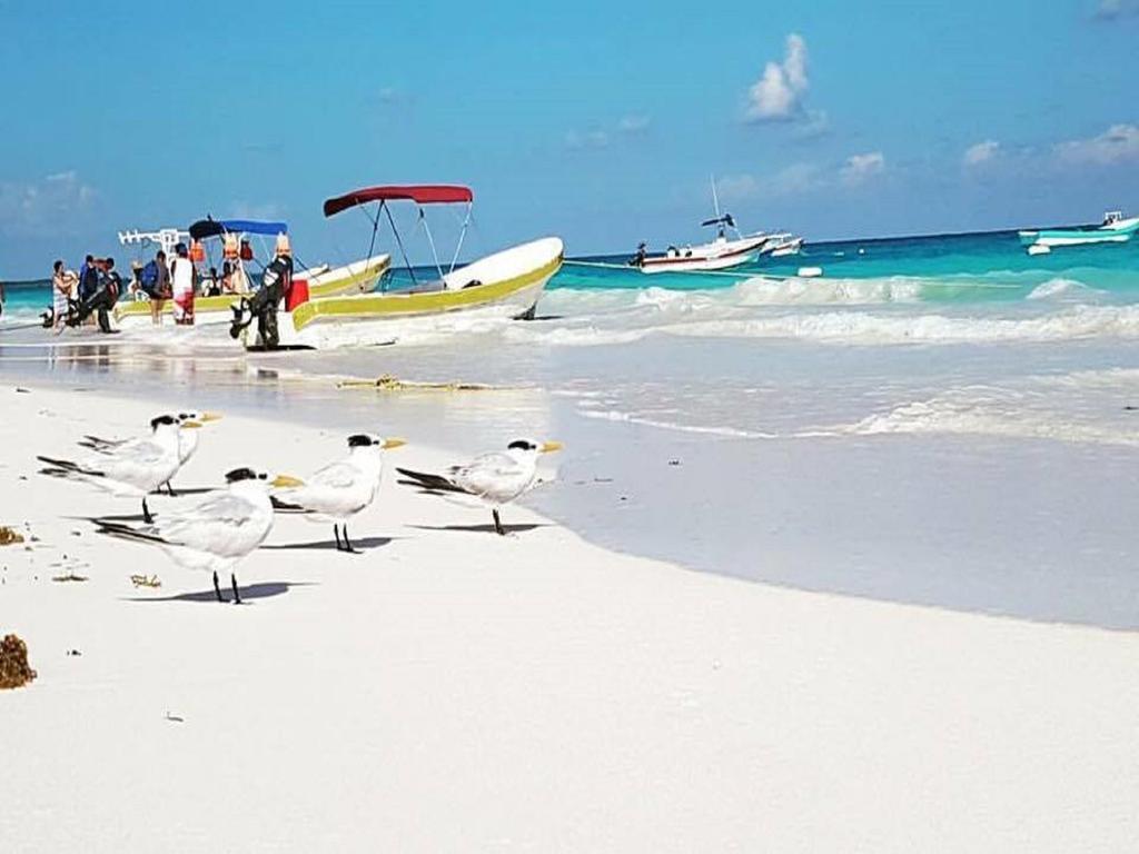 Campsite Hippieschic Mexico Eco Glamping Tulum