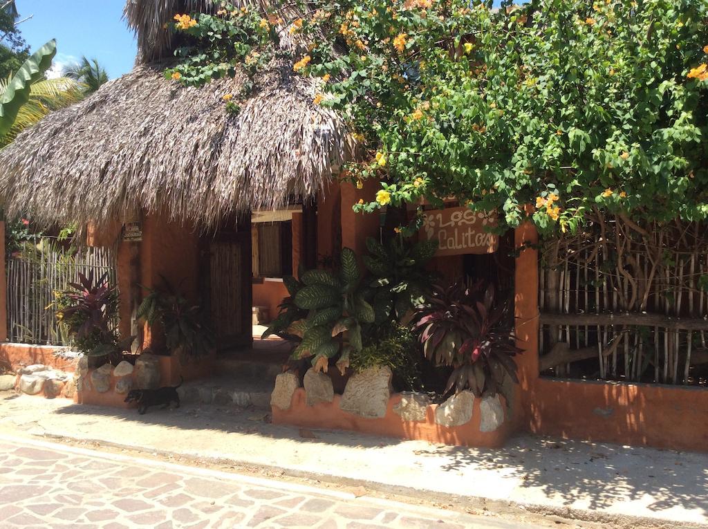 Jacalitos Mazunte
