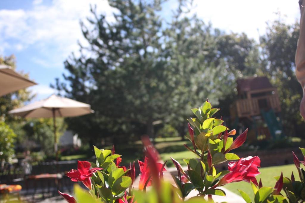 Huerta Real Hotel Mazamitla