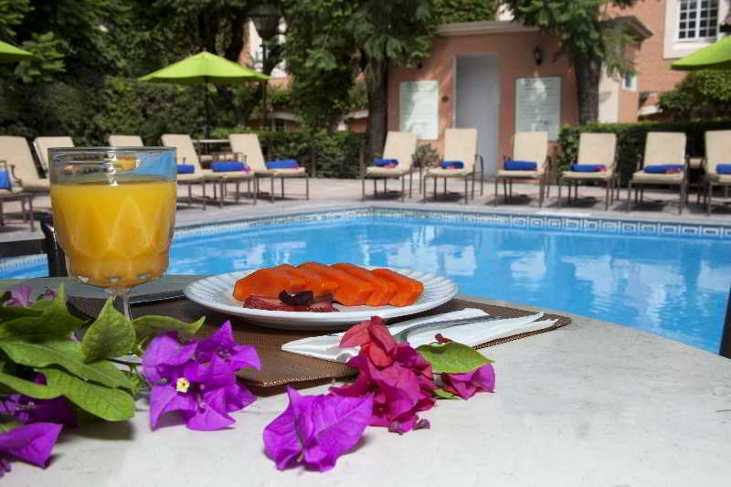 Plaza Camelinas Hotel Queretaro
