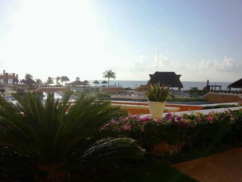 Aventura Cove Palace