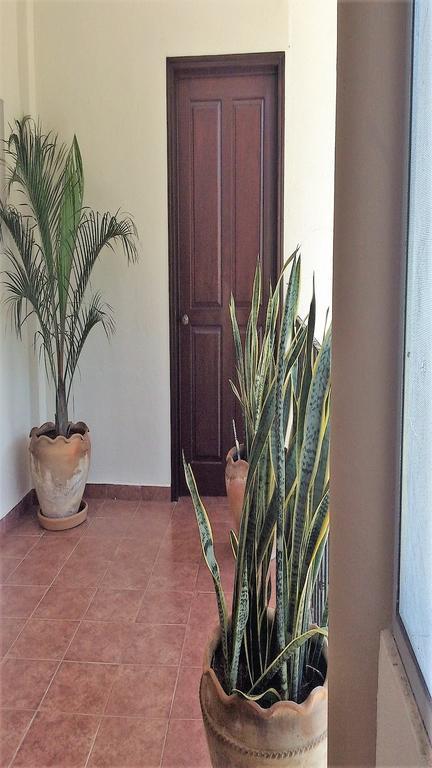 Guest house La Vivienda Santa Cruz Huatulco