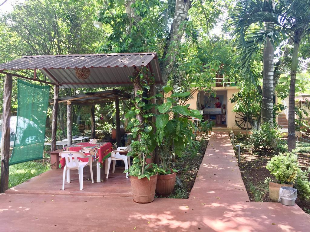 Yaxche Centro Y Hostel