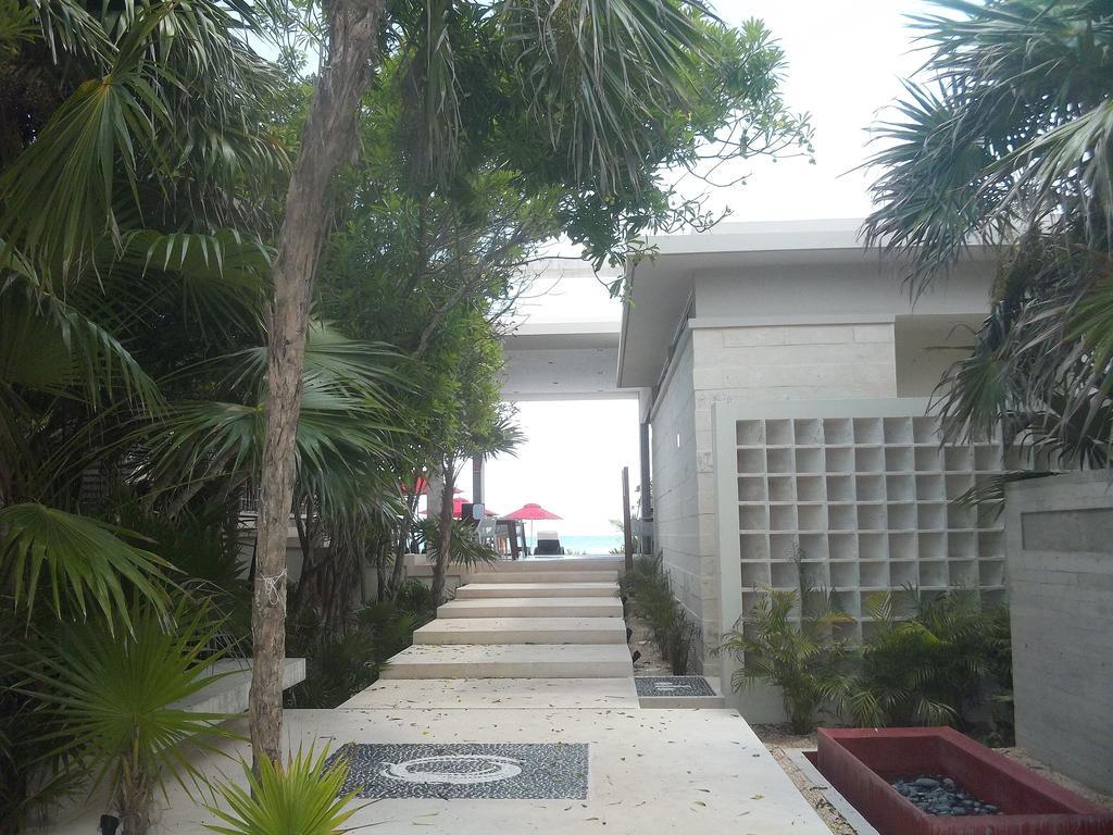 Villa Luxurious Ocean - Steps To Bay Akumal