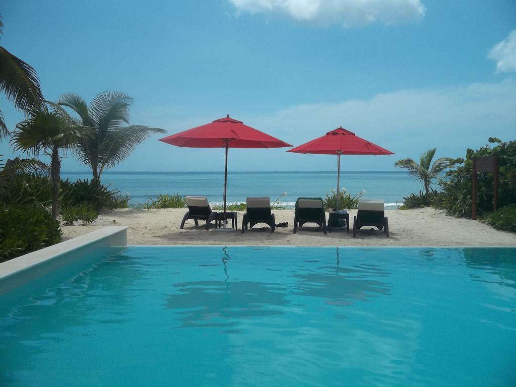 Villa Luxurious Ocean - Steps To Bay Akumal