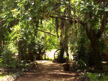 Mayan Secret Boutique Chetumal