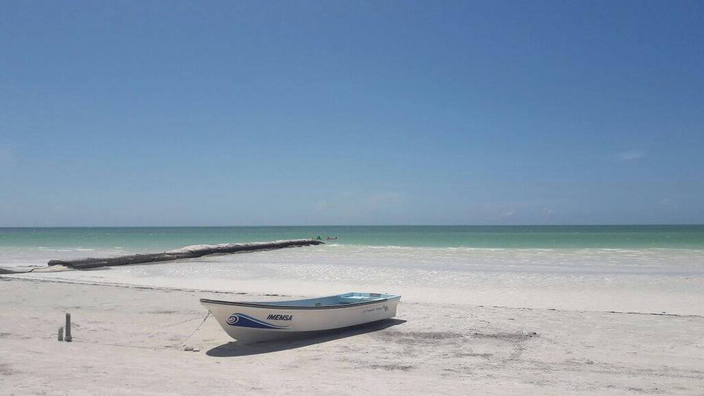 Casa Libelula Beach Front Holiday home