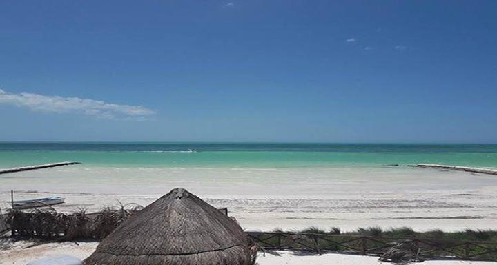 Casa Libelula Beach Front