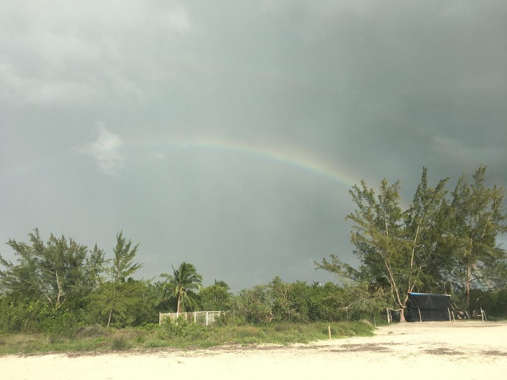 Casa Libelula Beach Front Holiday home Isla Holbox