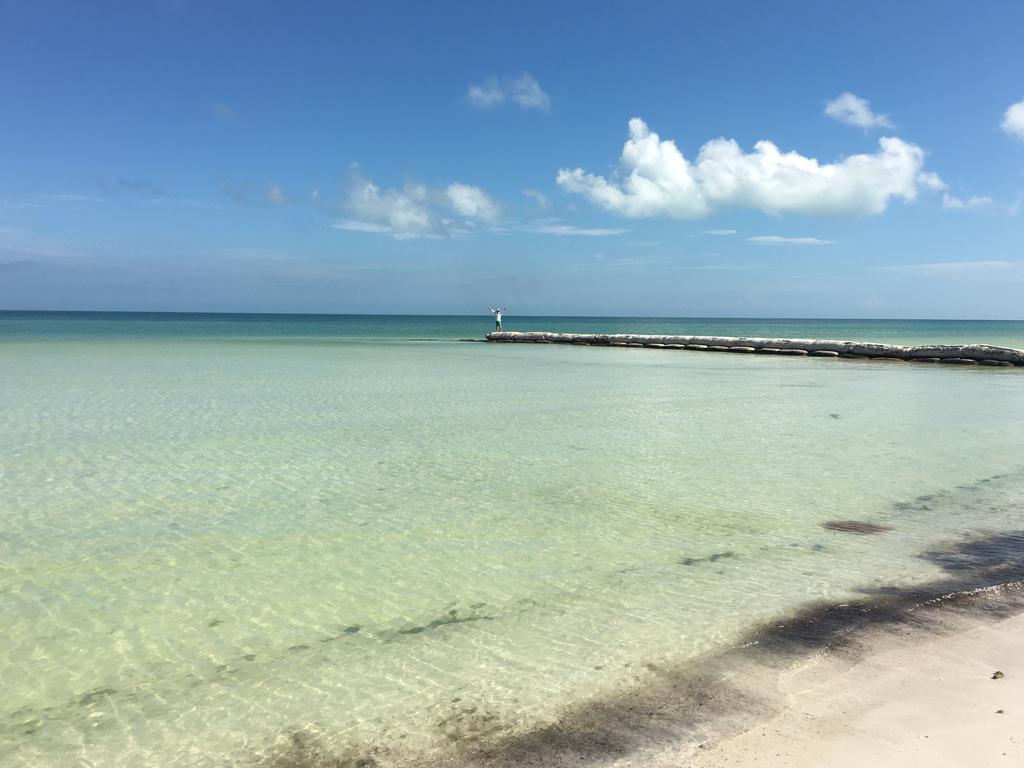 Casa Libelula Beach Front * Isla Holbox
