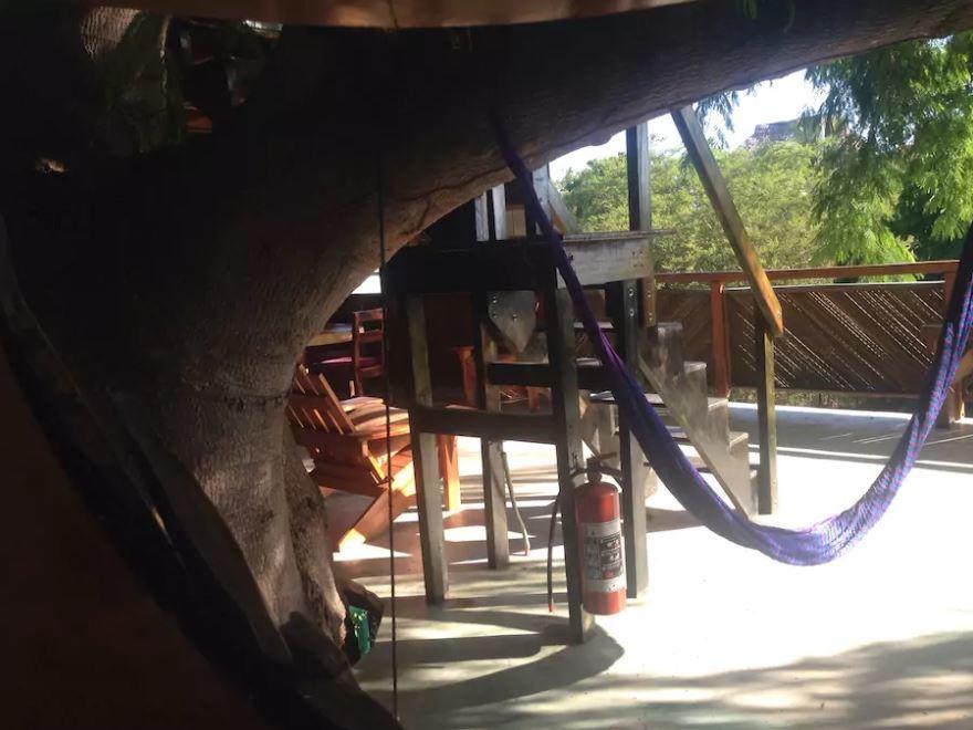 La Casa Del Arbol Guest house *