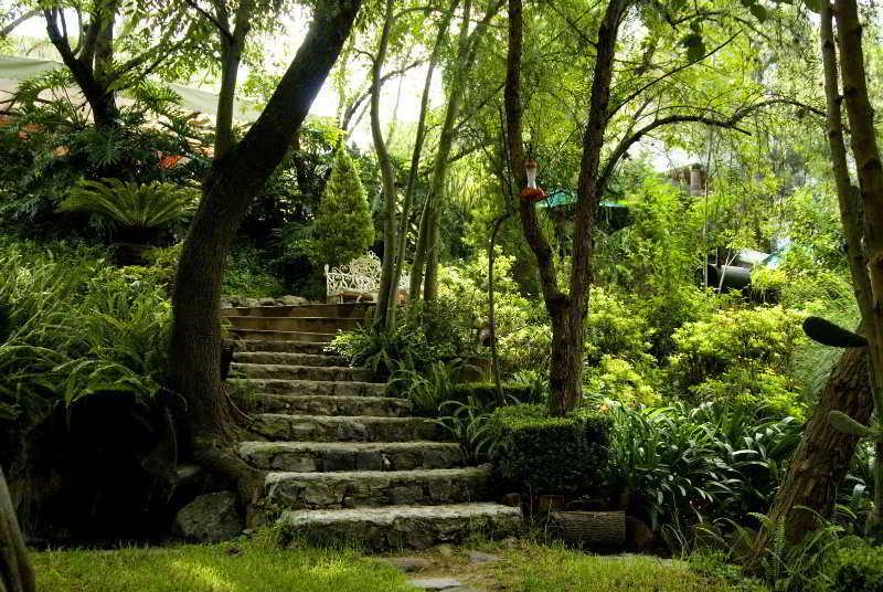 La Puertecita Boutique 4* San Miguel de Allende