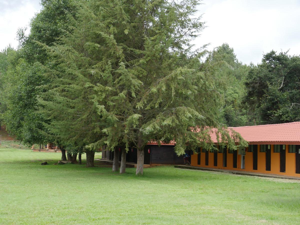 Campamento Zirahuen