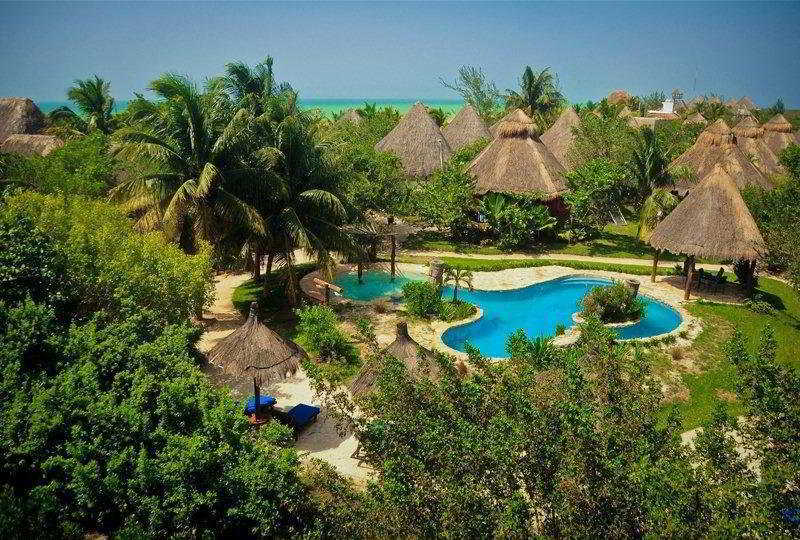 Delfines Isla Holbox