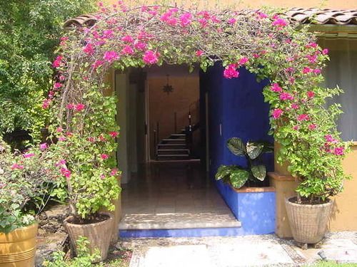 Orchidelirium Casa Hotel & Salud Estetica Cuernavaca